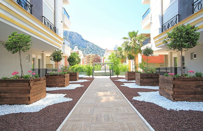 Amber Homes with Excellent Mountain View 4