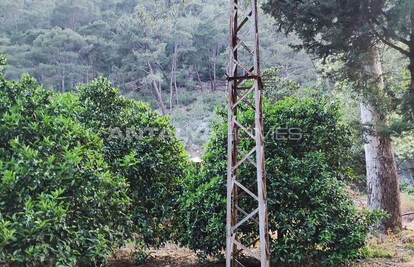 Investeringsgrond Geschikt Voor Villabouw In Olympos 14