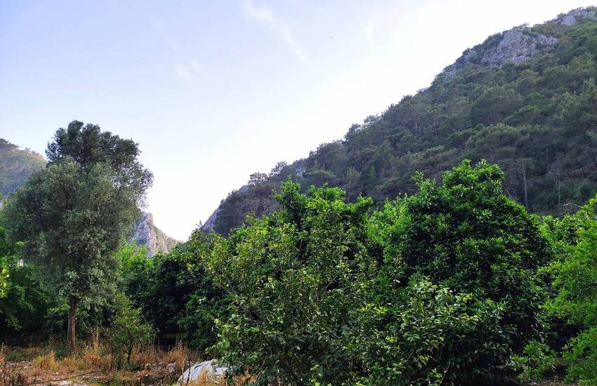 Investment Land Suitable for Villa Construction in Olympos 1