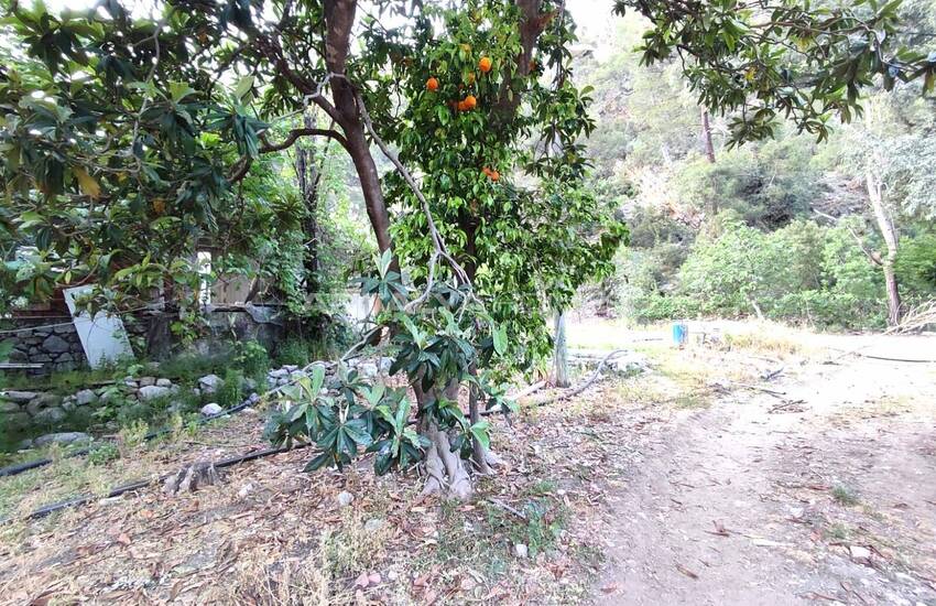 Investeringsgrond Geschikt Voor Villabouw In Olympos 10