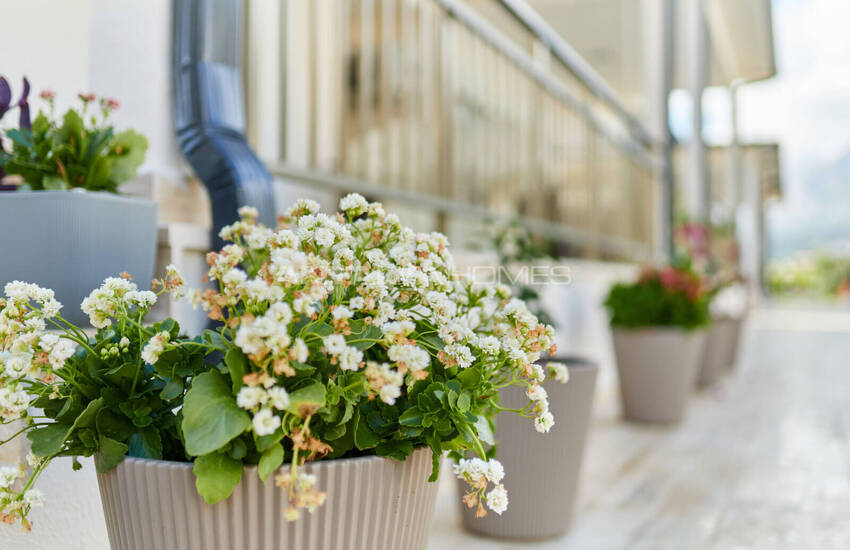 منازل استثمارية في مجمع بوتيكي في كيمير غوينوك 10