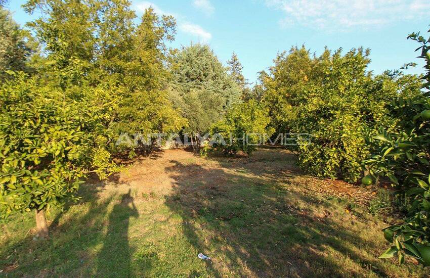 Целое Здание С Большим Участком В Дошемеалты, Анталия 12