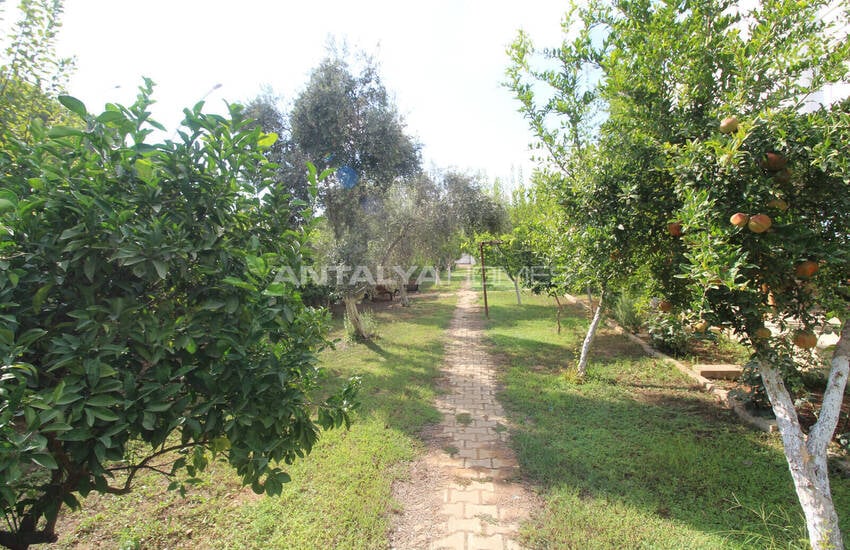 Maison 3 Chambres Près De Land Of Legends À Kadriye 5