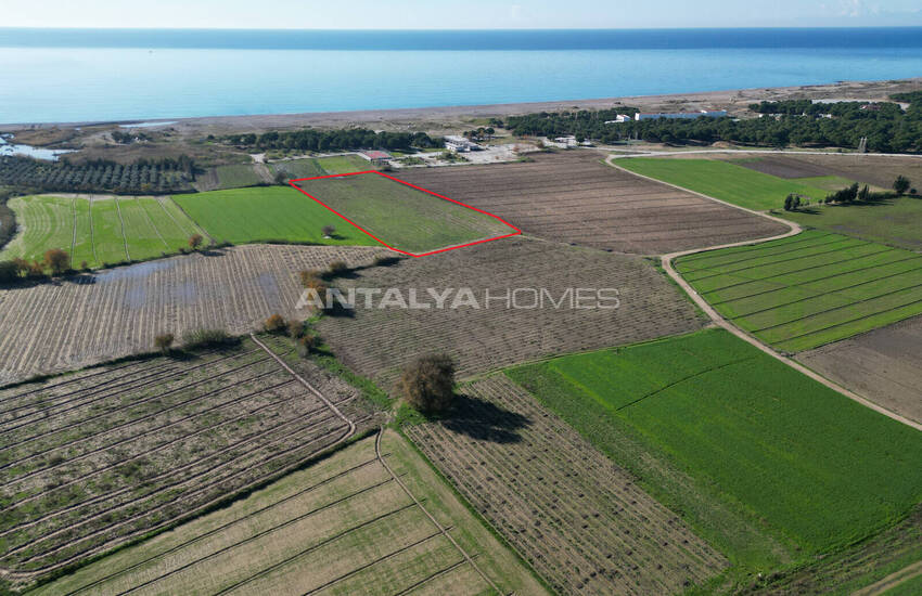 Приморский участок в туристической зоне в районе Манавгат Анталья 4