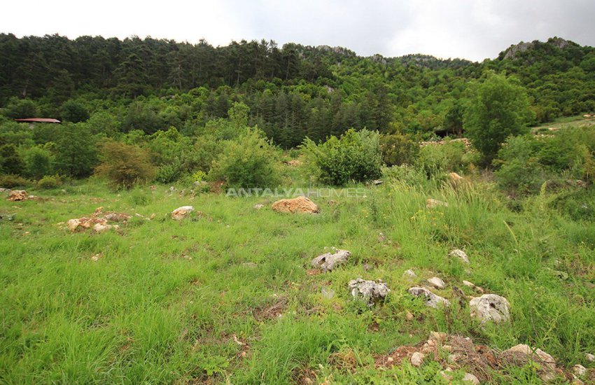 Field in Konyaalti, Geyikbayiri at Rock Bottom Price 1