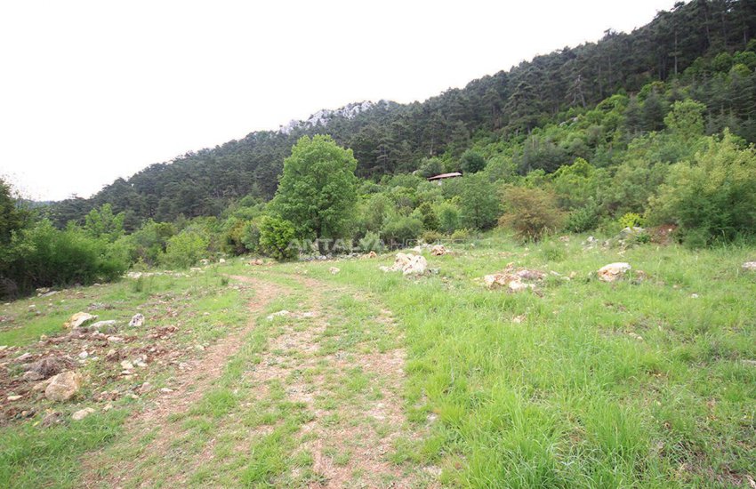 Field in Konyaalti, Geyikbayiri at Rock Bottom Price 2