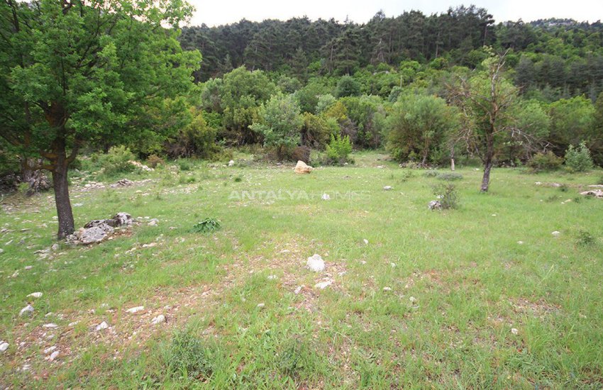 Field in Konyaalti, Geyikbayiri at Rock Bottom Price 3