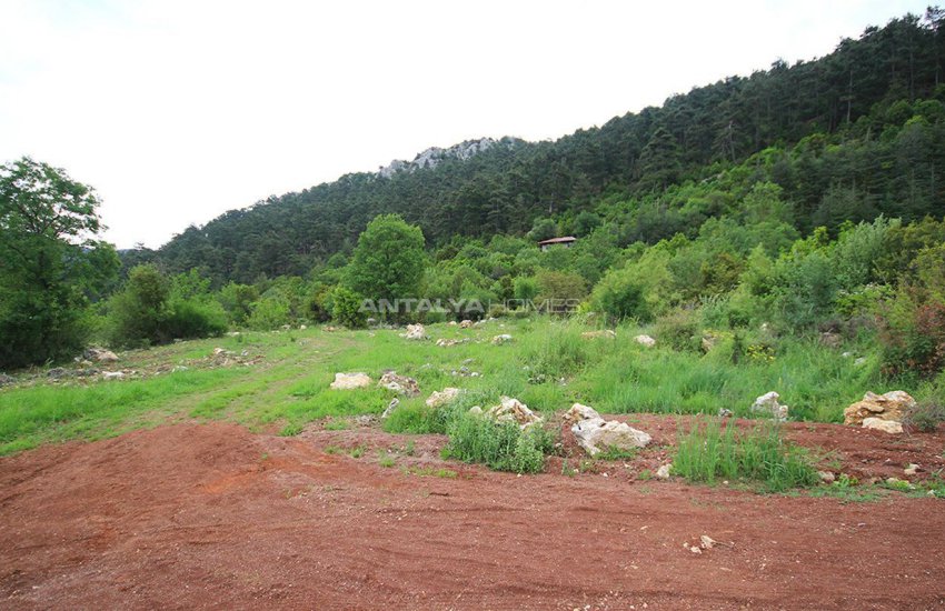 Field in Konyaalti, Geyikbayiri at Rock Bottom Price 7