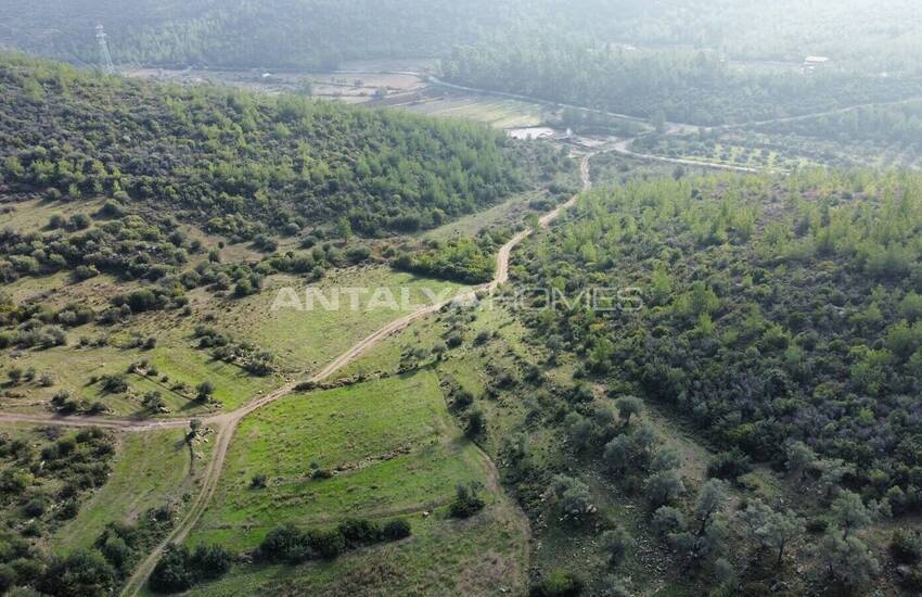 Ferme L’olivier À Proximité Du Centre De Bodrum À Mumcular