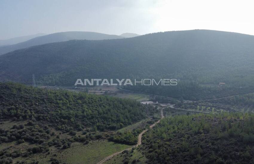 Olive Farm Close to the Center in Bodrum Mumcular 5
