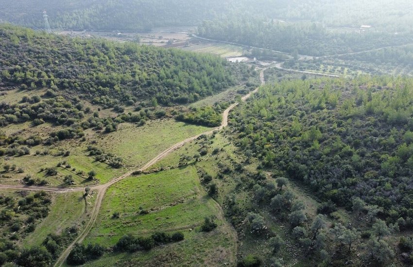 Olive Farm Close to the Center in Bodrum Mumcular