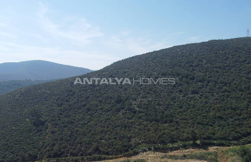 Vrijstaande Woningen Met Één Verdieping In De Natuur In Bodrum 6