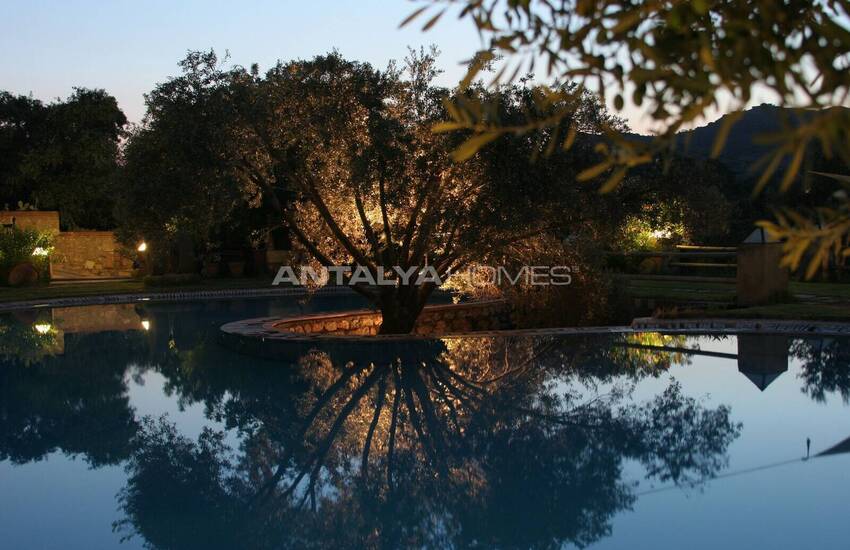 Загородные Дома Среди Зелени в Бодруме 15