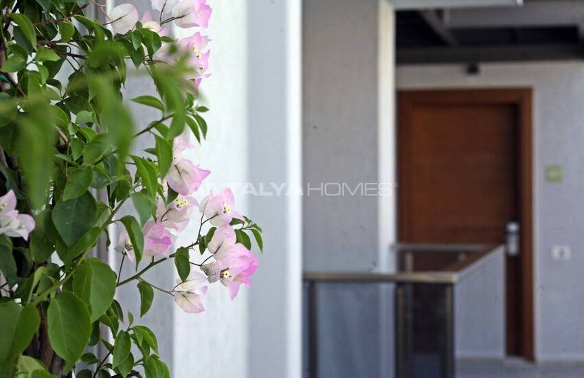 Bodrum Gümbet Havuzlu Site İçinde Daireler 13
