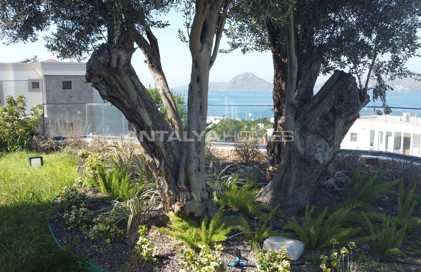 Fristående Hus Med Havsutsikt I Yalıkavak Bodrum 5