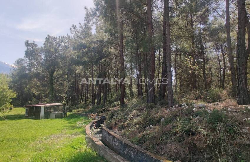 خانه مزرعه در کنار رودخانه ها و جنگل ها در موغلا سیدیکمر 8