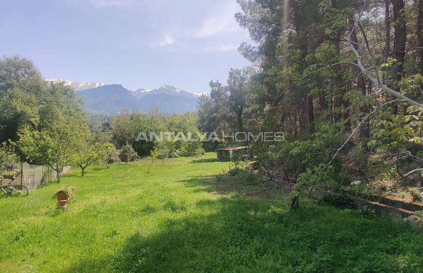 خانه مزرعه در کنار رودخانه ها و جنگل ها در موغلا سیدیکمر 11