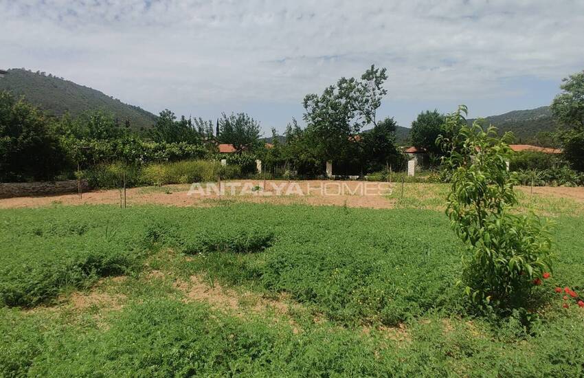 خانه روستایی سرمایهگذاری در زمین درجه یک در فتحیه 10