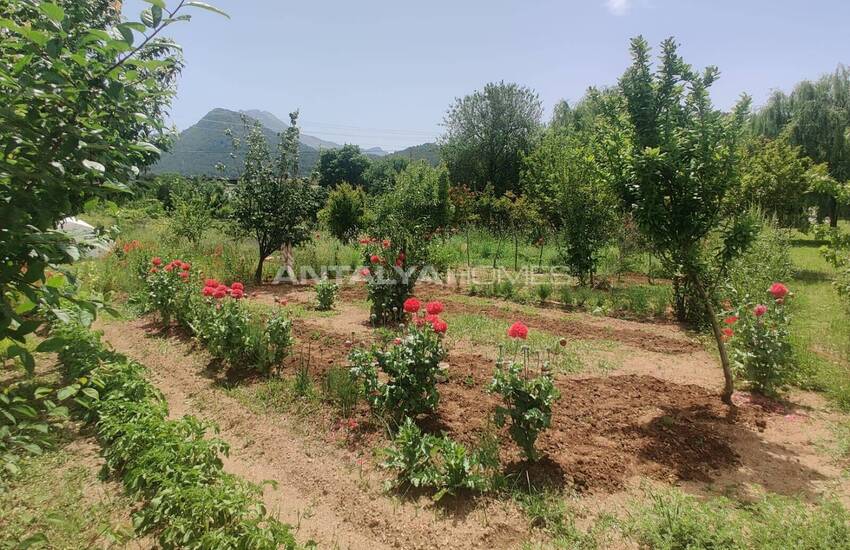 خانه روستایی سرمایهگذاری در زمین درجه یک در فتحیه 9
