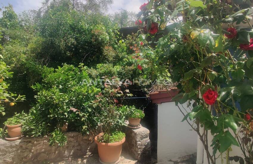 خانه ۳ خوابه در طبیعت، احاطه شده توسط فضای سبز در کایاکوی، فتحیه 6