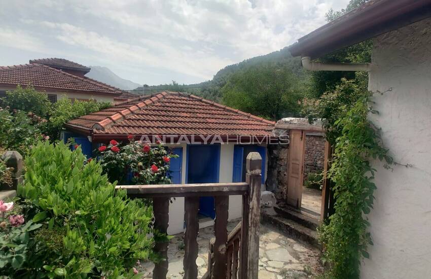 خانه ۳ خوابه در طبیعت، احاطه شده توسط فضای سبز در کایاکوی، فتحیه 8