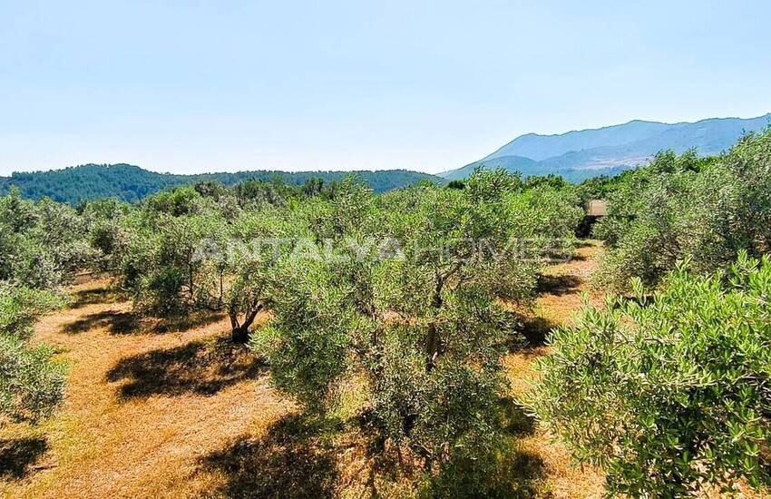 5-bedroom Detached Villa Surrounded by Nature in Fethiye 21