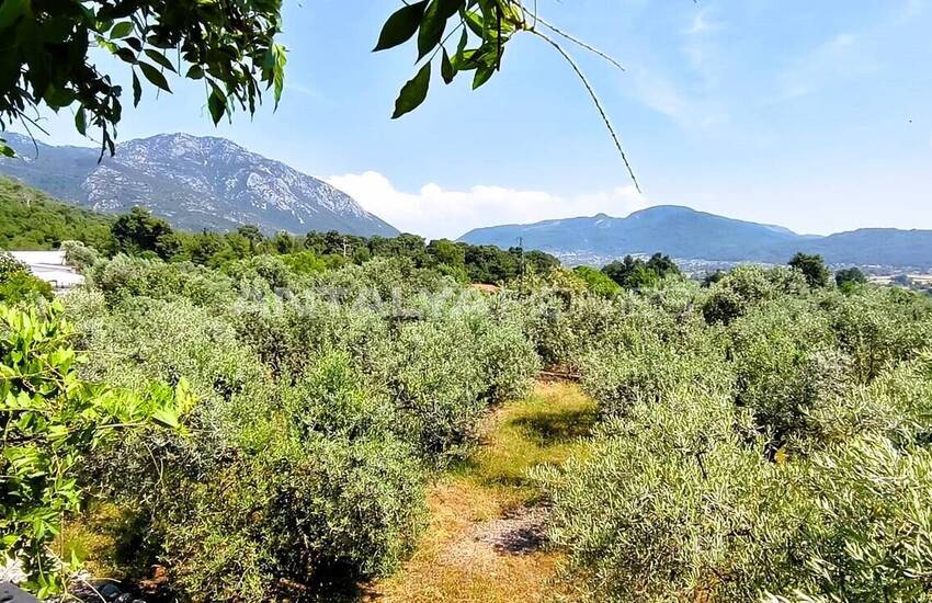 5-bedroom Detached Villa Surrounded by Nature in Fethiye 23