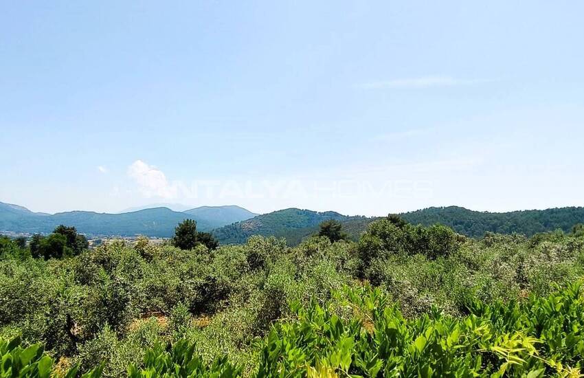 5-bedroom Detached Villa Surrounded by Nature in Fethiye 24