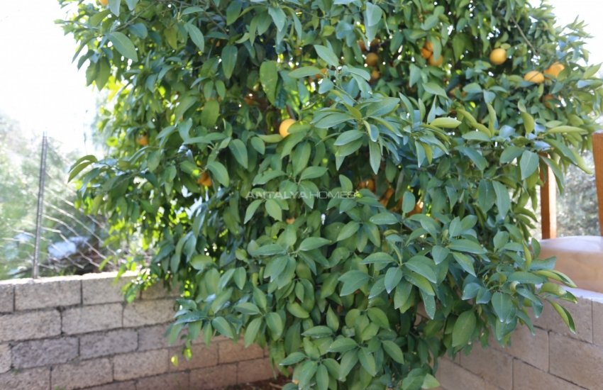 3 Storey Real Estate with Private Pool in Aksu Antalya 10