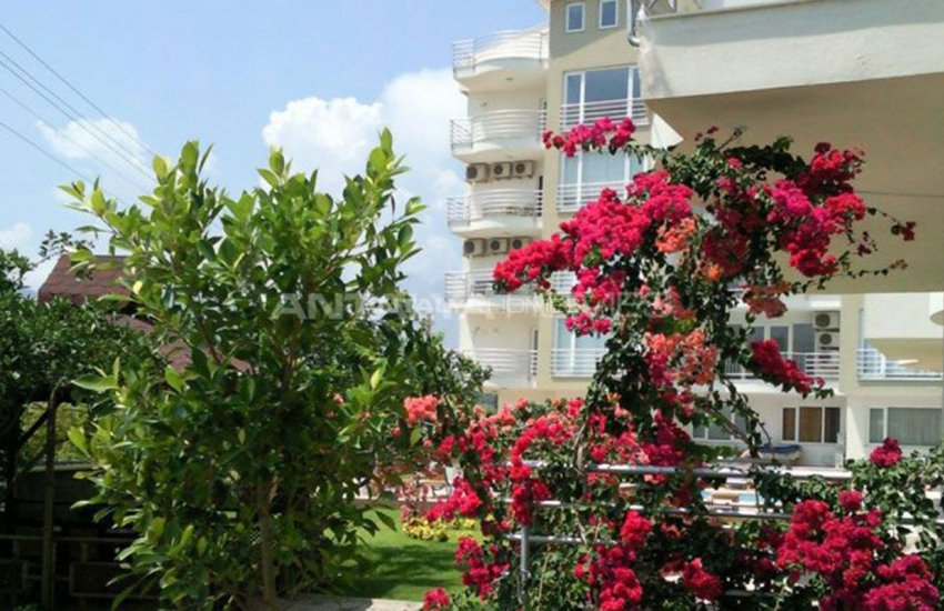 Cheap Apartments Interwined with Orange Trees in Konyaalti 5