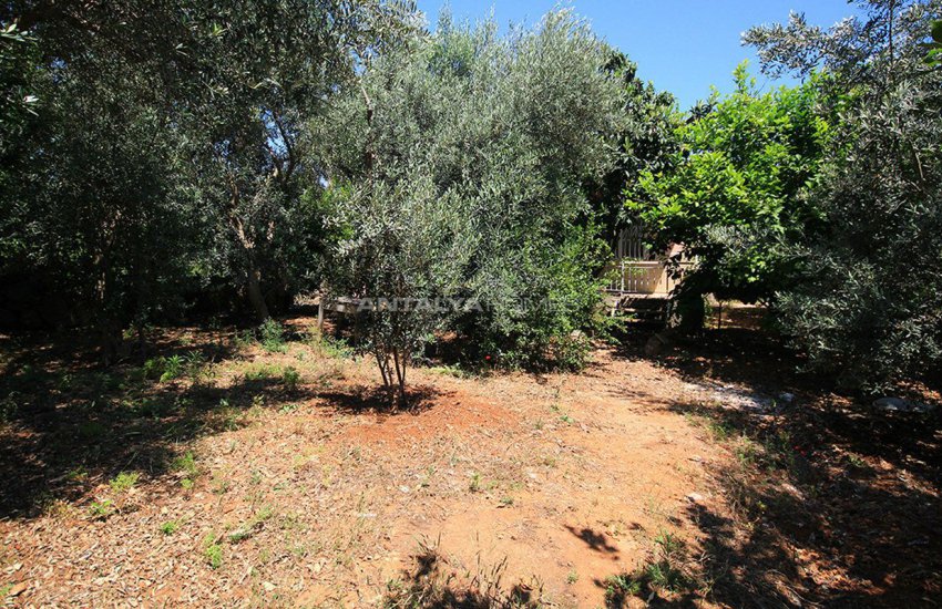 Land for Sale in Lara in a Wonderful Position