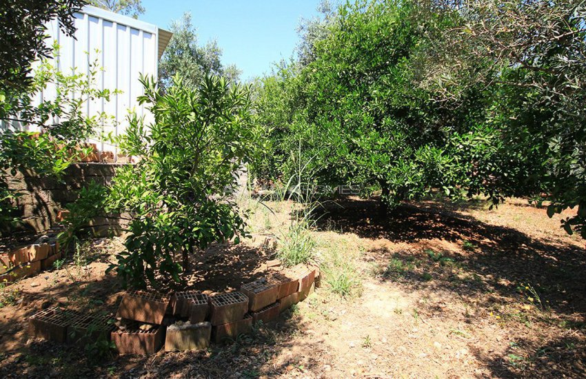 Land for Sale in Lara in a Wonderful Position