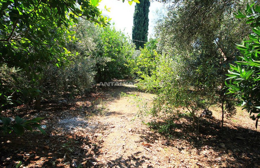 Land for Sale in Lara in a Wonderful Position