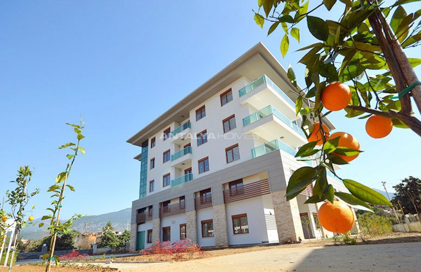 Uygun Fiyata Alanyada Satılık Daireler 2