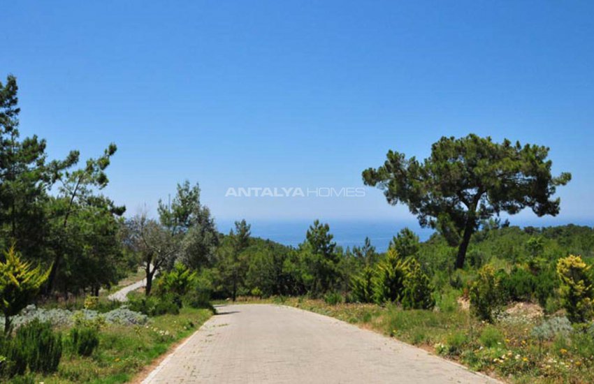 Sea View Villas in Alanya Avsallar 16