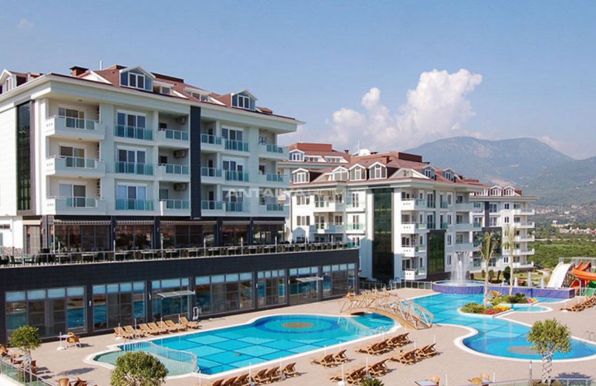 اولیو سیتی فلتس 10