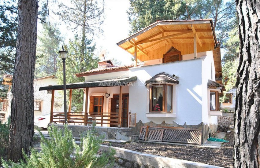 Detached Kemer Houses Intertwined with Nature in Calm Region 1