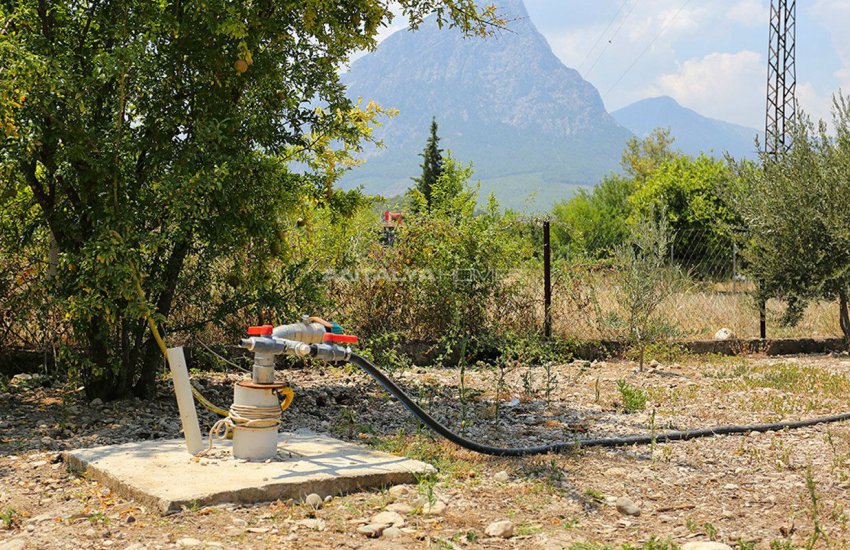 Çakırlar’da Meyve Bahçeli Komple Eşyalı Bağ Evleri 2
