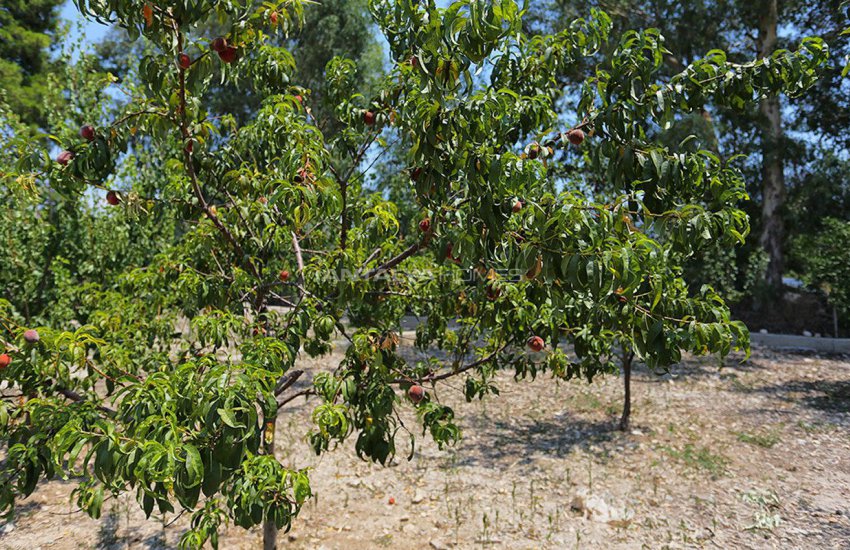 Çakırlar’da Meyve Bahçeli Komple Eşyalı Bağ Evleri 3