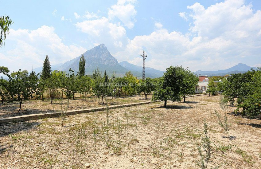 Çakırlar’da Meyve Bahçeli Komple Eşyalı Bağ Evleri 4