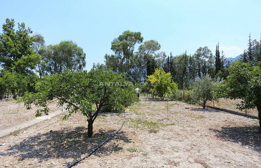 Çakırlar’da Meyve Bahçeli Komple Eşyalı Bağ Evleri 7