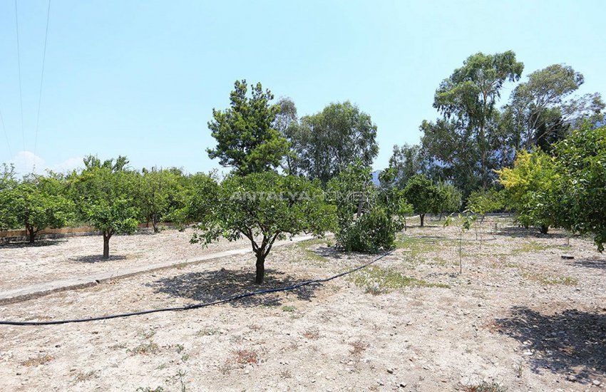 Çakırlar’da Meyve Bahçeli Komple Eşyalı Bağ Evleri 8