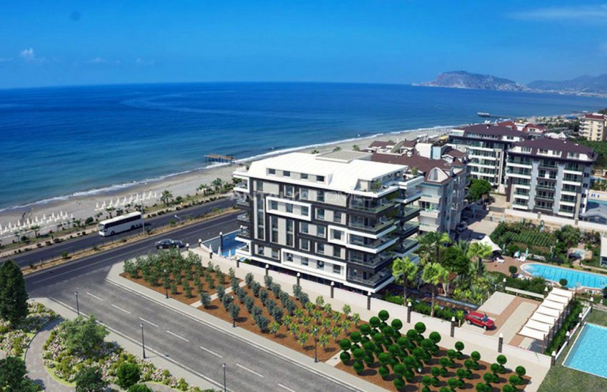 مجمع نجوم البحر 17