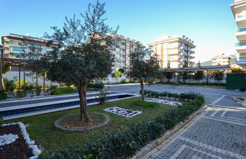 مجمع نجوم البحر 5