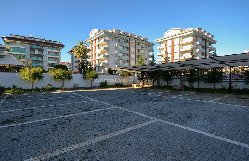 مجمع نجوم البحر 8