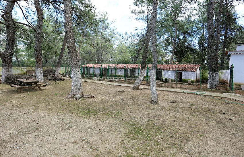 10 Bedroom Family-friendly Villas in Kepez Antalya 13