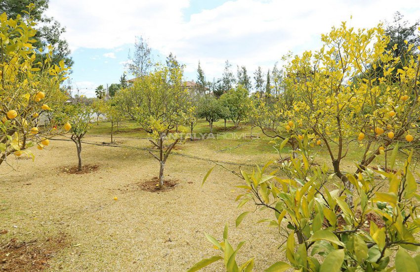 10 Bedroom Family-friendly Villas in Kepez Antalya 19