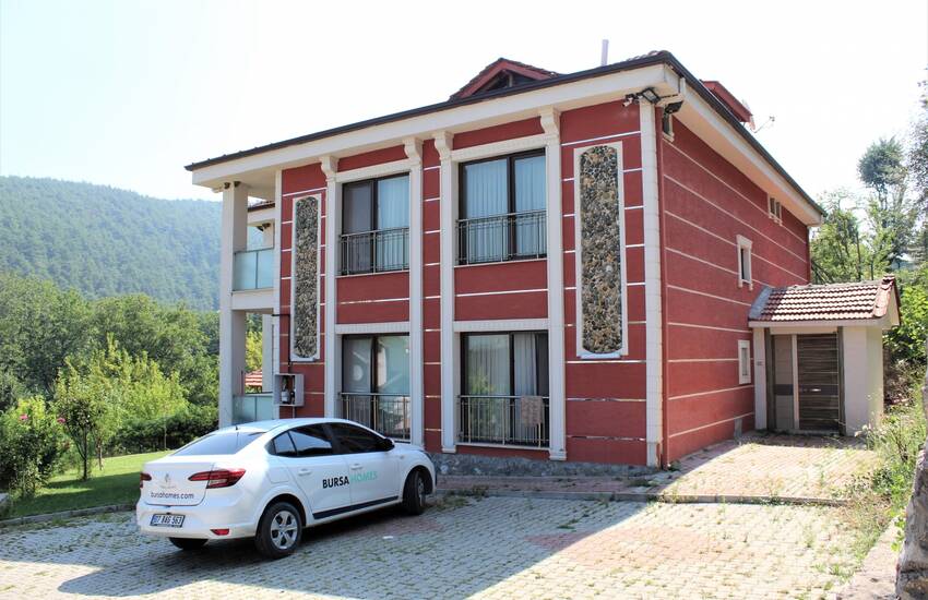 Detached House Surrounded by Pine Forests in Kestel Bursa