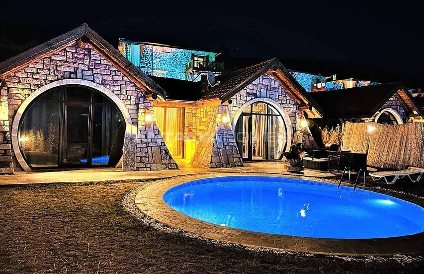 خانه هایی با نمای دریاچه و استخرهای خصوصی در ایزنیک، بورسا
