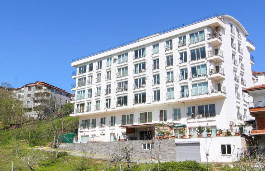 Furnished Duplex Apartment with Nature View in Yalova Turkey